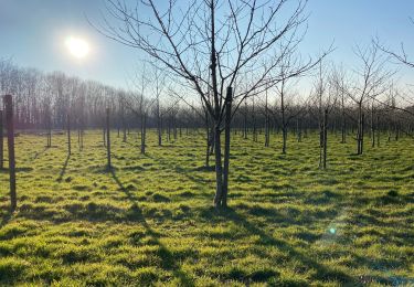 Tour Wandern Gerpinnes - Mars le printemps s’installe  - Photo