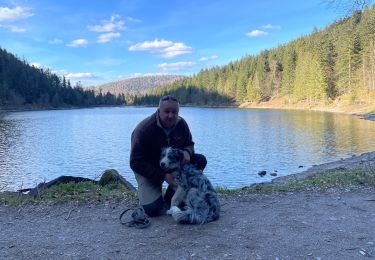 Randonnée Marche La Bresse - Tour du Lac aux Corbeaux  - Photo