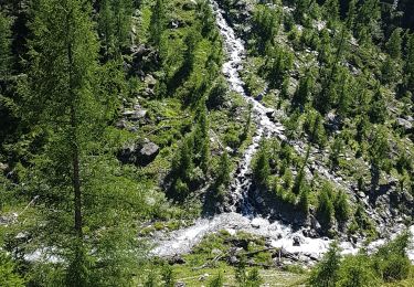 Tocht Stappen Abriès-Ristolas - Lac Lestio - Photo