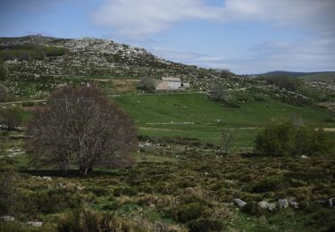 Percorso Marcia Pont de Montvert - Sud Mont Lozère - l'hôpital, pont du Tarn, mas camargue - Photo
