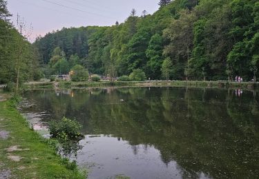 Trail Walking Visé - A la découverte des Etangs de la Julienne 🥾 - Photo