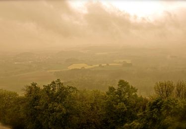 Tocht Te voet Wolfhagen - Weidelsburg, Rundweg 2 - Photo