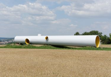 Percorso A piedi Gemeinde Mistelbach - Rundwanderweg Holzberg - Photo