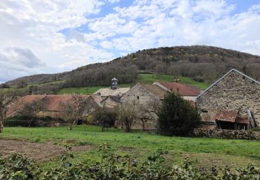 Trail Walking Bouilland - Autour de Bouillant  - Photo