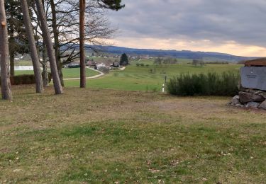 Trail Walking Dounoux - dounoux vieux st laurent - Photo