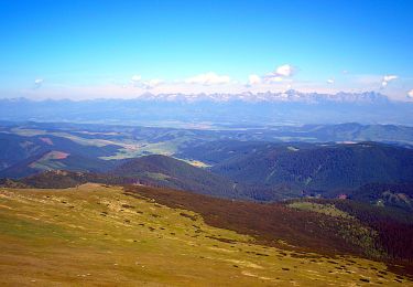 Excursión A pie okres Poprad - Slovenský Raj - Nízke Tatry - Photo