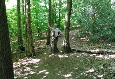 Tour Wandern Seraing - Boncelles bois de Famelette  - Photo