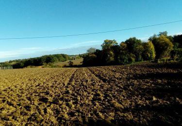 Trail Walking Saint-Pierre-de-Lages - saint pierre 2_11_21 - Photo