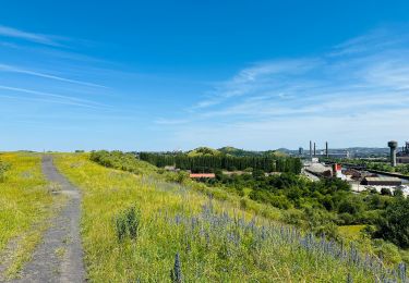 Tocht Stappen Charleroi - Cirkwi-Promenade_du_Terril_Saint-Charles 2 - Photo