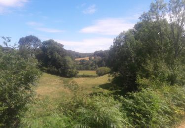 Randonnée Marche Ouroux-en-Morvan - Le Maquis Bernard - Ouroux en Morvan 10km - Photo