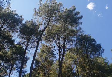 Excursión Carrera Fons - fons ailhon - Photo