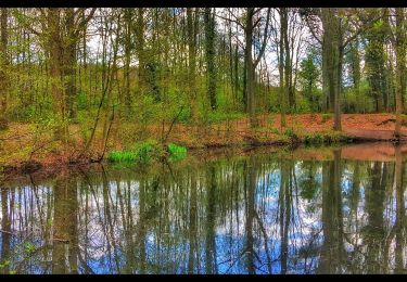 Excursión Senderismo Fleurus - Balade dans le Bois de Soleilmont - Photo