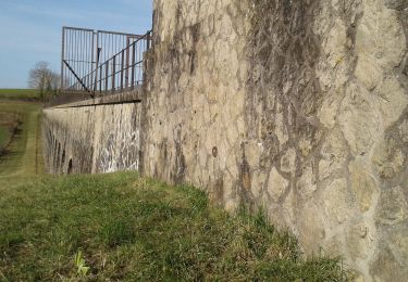 Excursión Bici de carretera Paron - Sortie Ã  vÃ©lo dans l'aprÃ¨s-midi - Photo