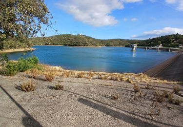 Trail Walking Bormes-les-Mimosas - Barrage du Trapan 10-01-2025 - Photo