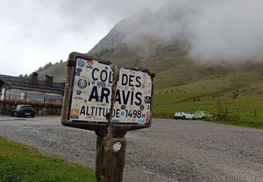 Percorso Bici da strada Flumet - col avaris - Photo