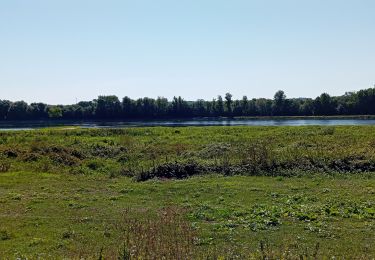 Tocht Stappen La Possonnière - La Possonnière  - Photo