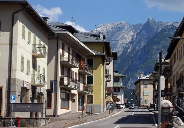 Tour Zu Fuß Auronzo di Cadore - IT-271 - Photo