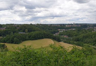 Tour Wandern Thuin - Balade de Thuin au Hameau des Waibes - Photo