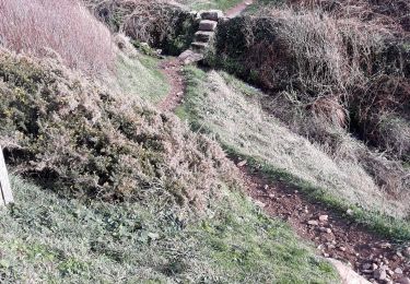 Tour Wandern La Hague - pointe de la hague - Photo