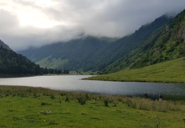 Tour Wandern Estaing - lac d'Estaing Pont de Plasi - Photo