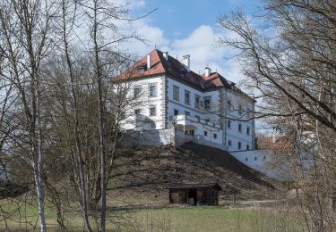 Tocht Te voet Kremsmünster - Schwarzholzweg - Wanderweg 41 - Photo