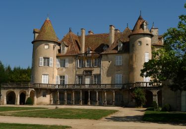 Percorso Marcia Aubusson-d'Auvergne - Courpiere_Salet - Photo