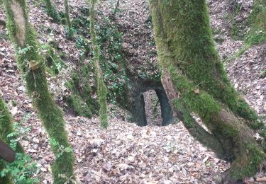 Tour Wandern Brusque - brusque - Photo