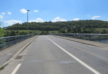 Tocht Te voet Amay - Promenade d'Ombret - Photo