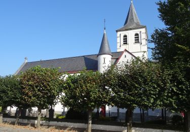 Tocht Te voet Sint-Martens-Latem - Albijn Van Den Abeele Route - Photo