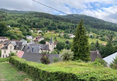 Tour Wandern Rochesson - Rochesson - Photo