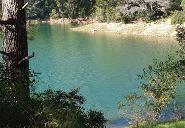 Trail Walking La Valette-du-Var - tourris - Photo