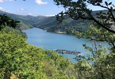 Tour Wandern Villefort - Autour de La Croix de Gratassac - Photo