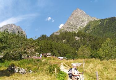 Randonnée Marche Vallorcine - 20210810 Le Buet Les Granges - Photo