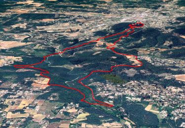 Excursión Senderismo Lorgues - SityTrail - Le hameau de Sauveclare - Photo
