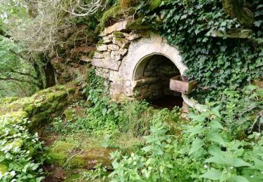 Trail On foot Bozouls - BARRIAC / CARCUAC - Photo