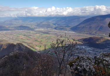 Tocht Stappen Le Gua - Le Pieu depuis Les Petits Amieux - Photo