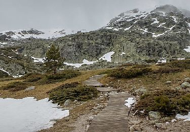 Tocht Te voet Rascafría - [RV 2] Pico de Peñalara - Photo