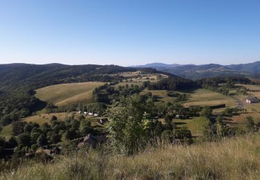 Percorso Marcia Barre-des-Cévennes - barre Pompidou 14 km - Photo