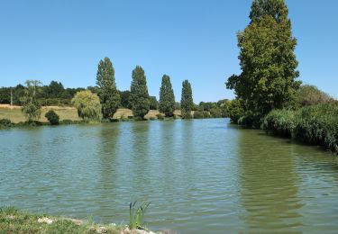 Percorso Marcia Neuvy-le-Roi - Neuvy-le-Roi - Ancien PR puis PR - 19.8km 180m 5h55 (55mn) - 2025 07 10 - Photo