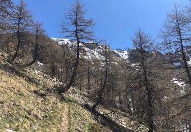 Tocht Sneeuwschoenen Entraunes - Tête de Sanguinière - Photo