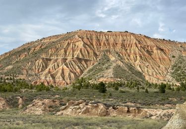 Trail Horseback riding Bardenas Reales de Navarra - Bardenas jour 6 - Photo