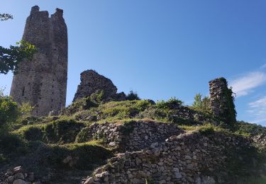 Trail Walking Arras-sur-Rhône - Tour d'Arras - Photo