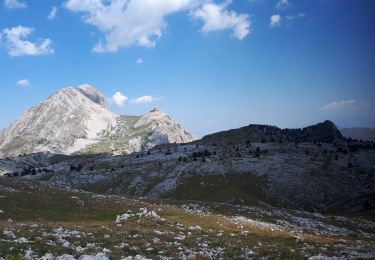 Trail Walking Saint-Agnan-en-Vercors - Sommet de Montaveilla depuis le Col du Rousset - Photo