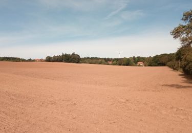 Excursión A pie Freudenberg - Rundwanderweg Rauenberg, Ra1, Birkwiesen-Weg - Photo