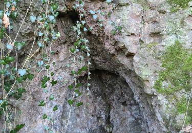 Tocht Te voet Wadern - Bardenbacher Felsenweg - Photo