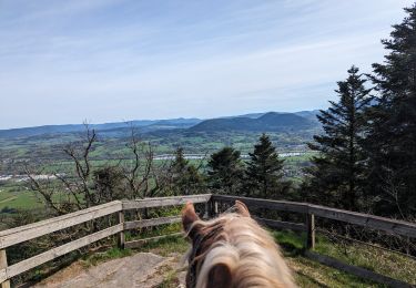 Percorso Equitazione Nompatelize - suuntoapp-HorsebackRiding-2024-04-13T07-02-45Z - Photo