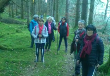 Trail Walking Combressol - le Chatel2 - Photo