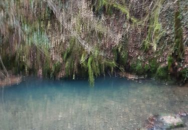 Trail Walking Marigna-sur-Valouse - Marigna-Quinquenouille - Photo