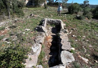 Percorso sport Cabasse - Cabasse le dolmen - Photo