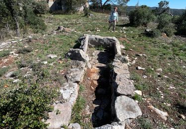 Trail sport Cabasse - Cabasse le dolmen - Photo